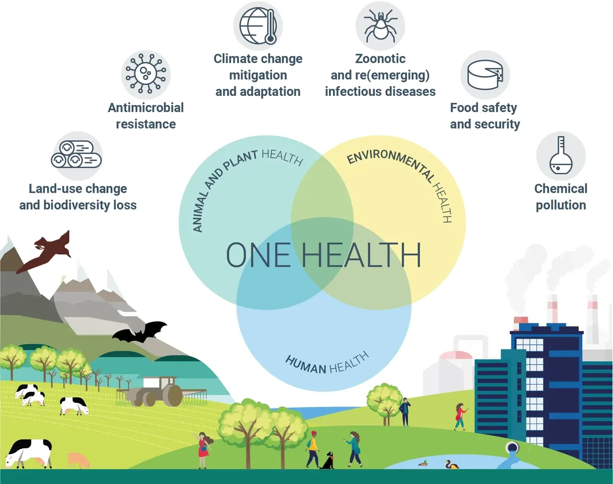 One Health diagram connecting human, animal, plant, and environmental health