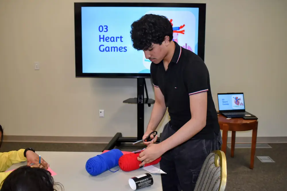 Students at the circulatory system workshop (13 of 18)