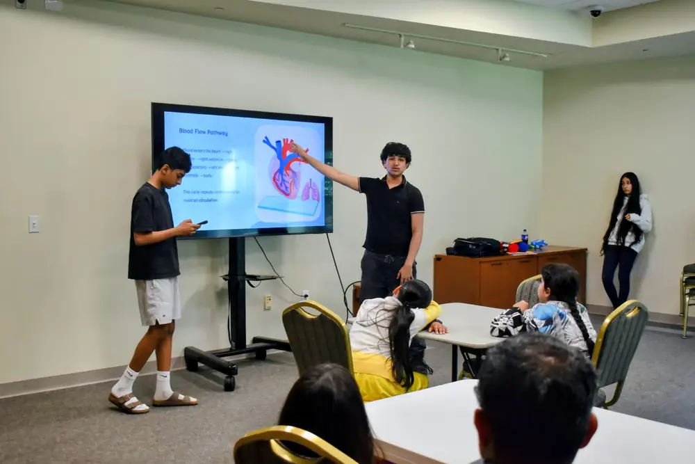 Students at the circulatory system workshop (17 of 18)
