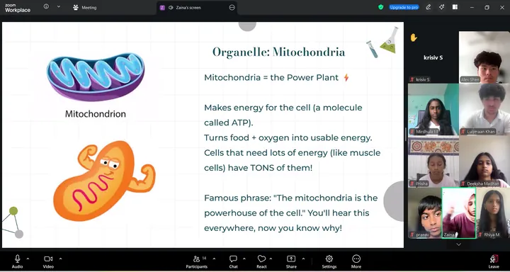 Tutor presenting a slide on mitochondria during a prep session