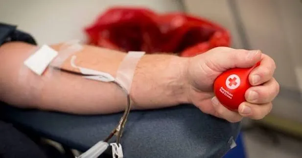 A donor squeezing a Red Cross stress ball during a blood donation