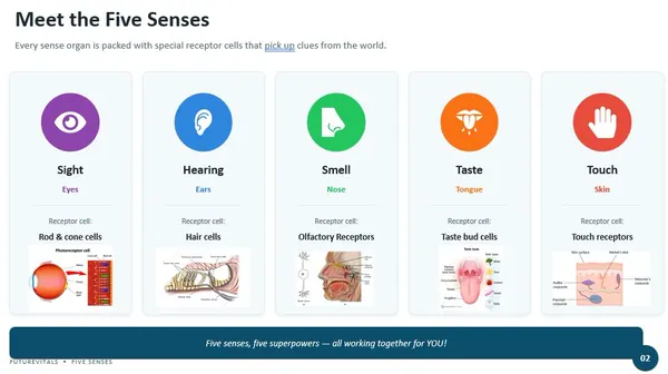 Meet the Five Senses slide showing sight, hearing, smell, taste and touch