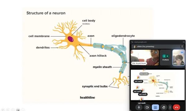 Diagram of the structure of a neuron presented to campers on a video call