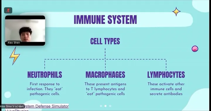 Slide on immune cell types: neutrophils, macrophages and lymphocytes