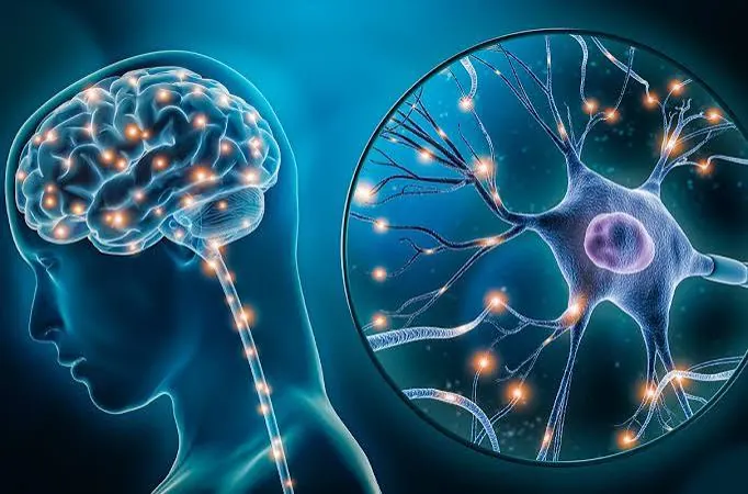 Illustration of a human brain and a close-up of a neuron with glowing connections
