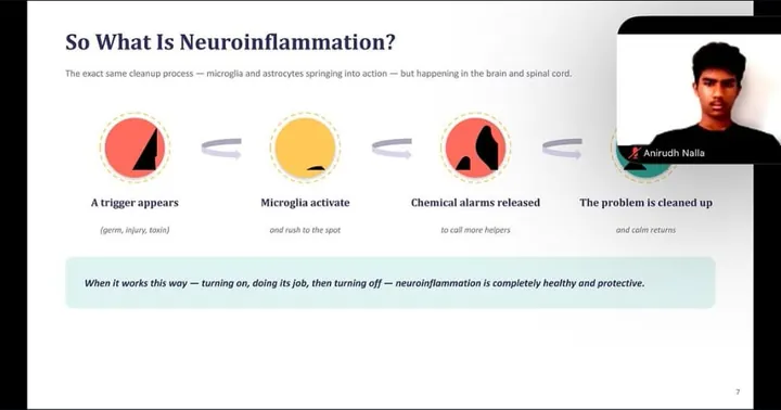 Slide explaining neuroinflammation step by step