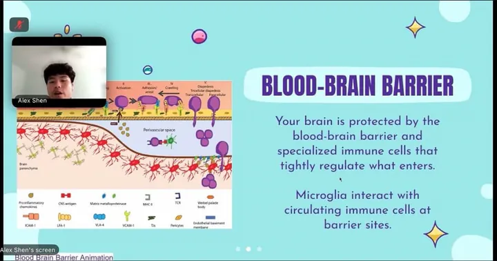 The presenter explains the blood-brain barrier on a shared slide