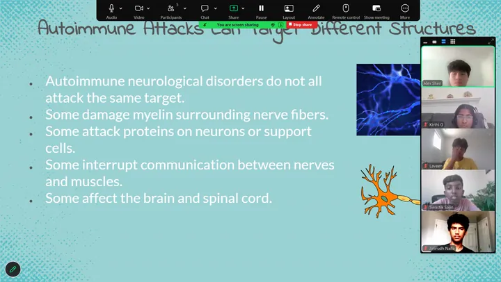 Slide on the different nerve structures autoimmune attacks can target