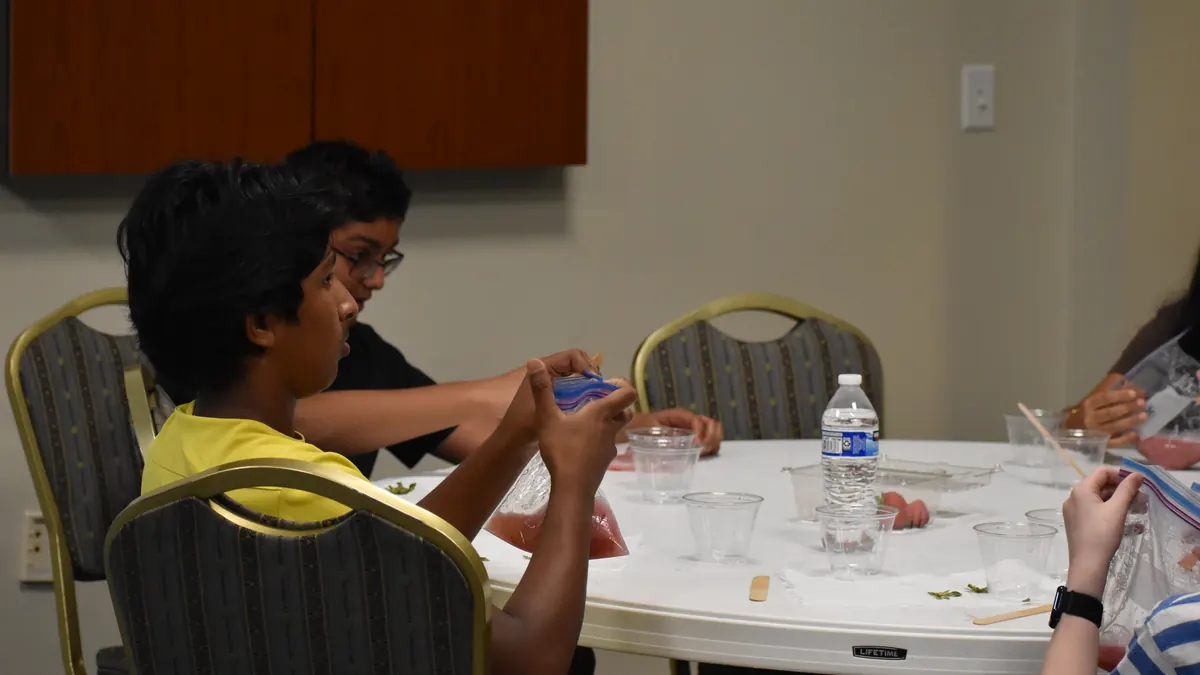 Students at the strawberry DNA extraction workshop